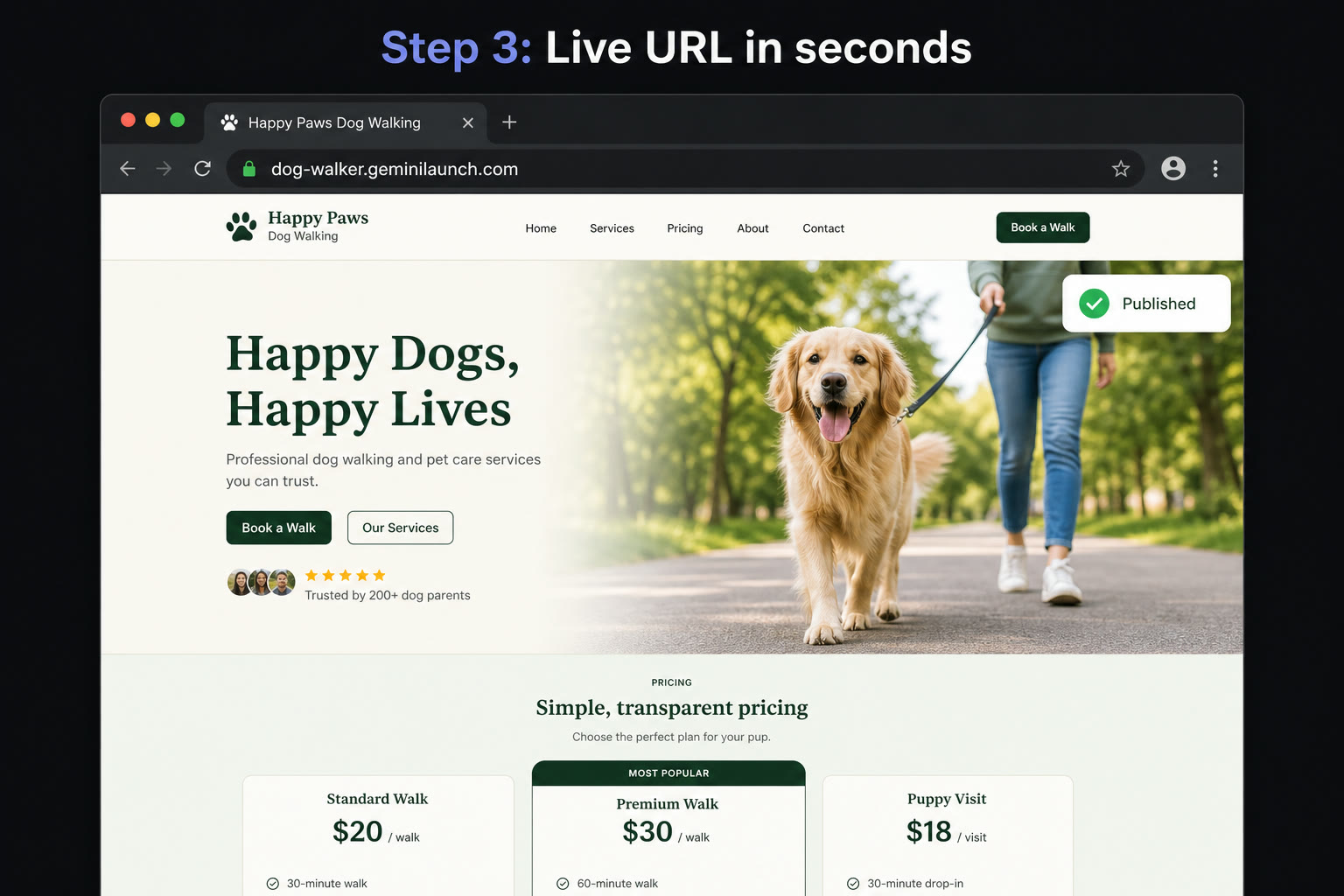 Published Gemini website live at a geminilaunch.com subdomain